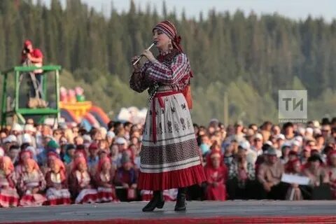 Питрау 2024 зюри когда будет