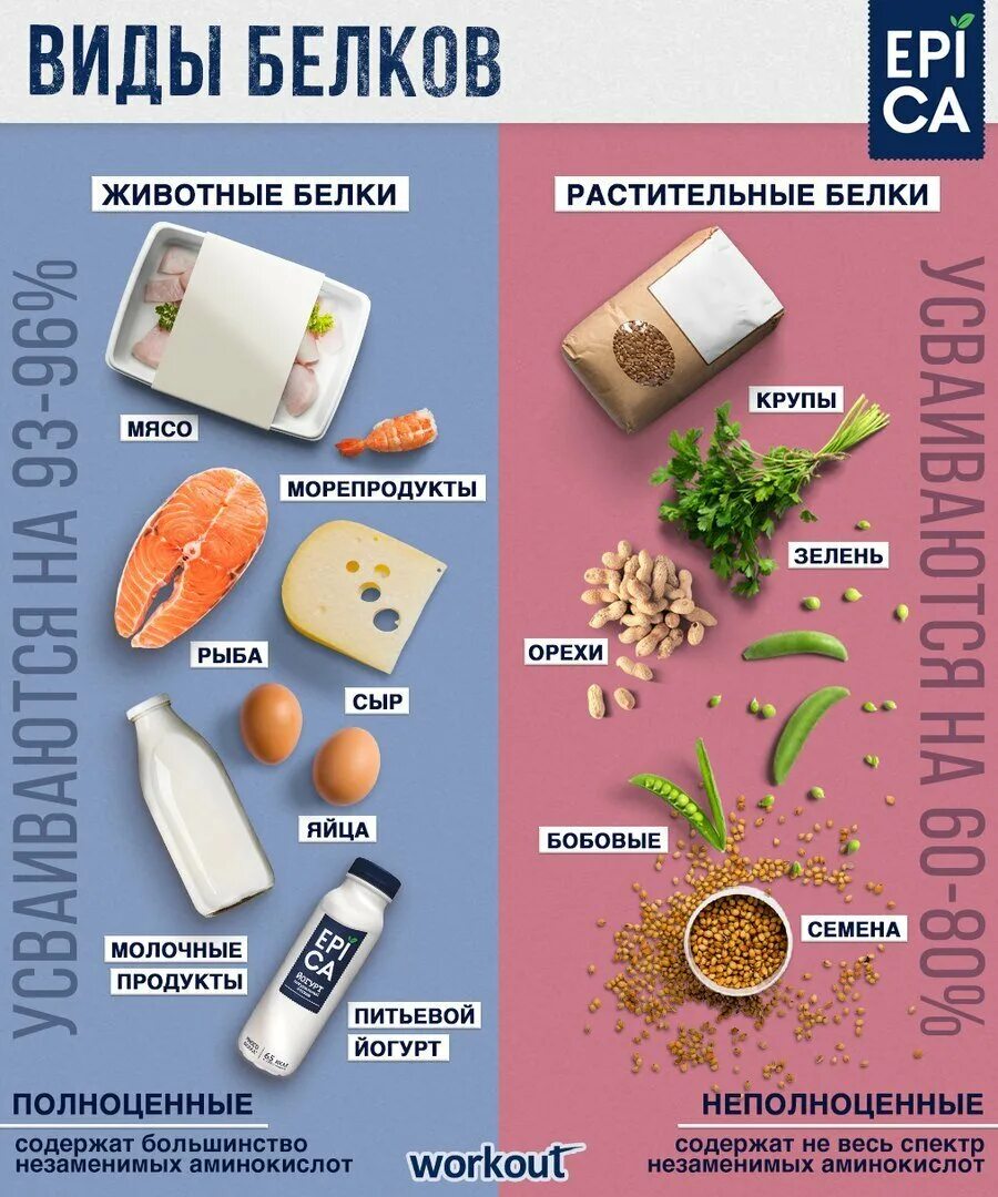 Где находятся белки. Продукты с высоким содержанием белка. Продукты богатые белком список. Продукты богатые велком. Белки список продуктов.