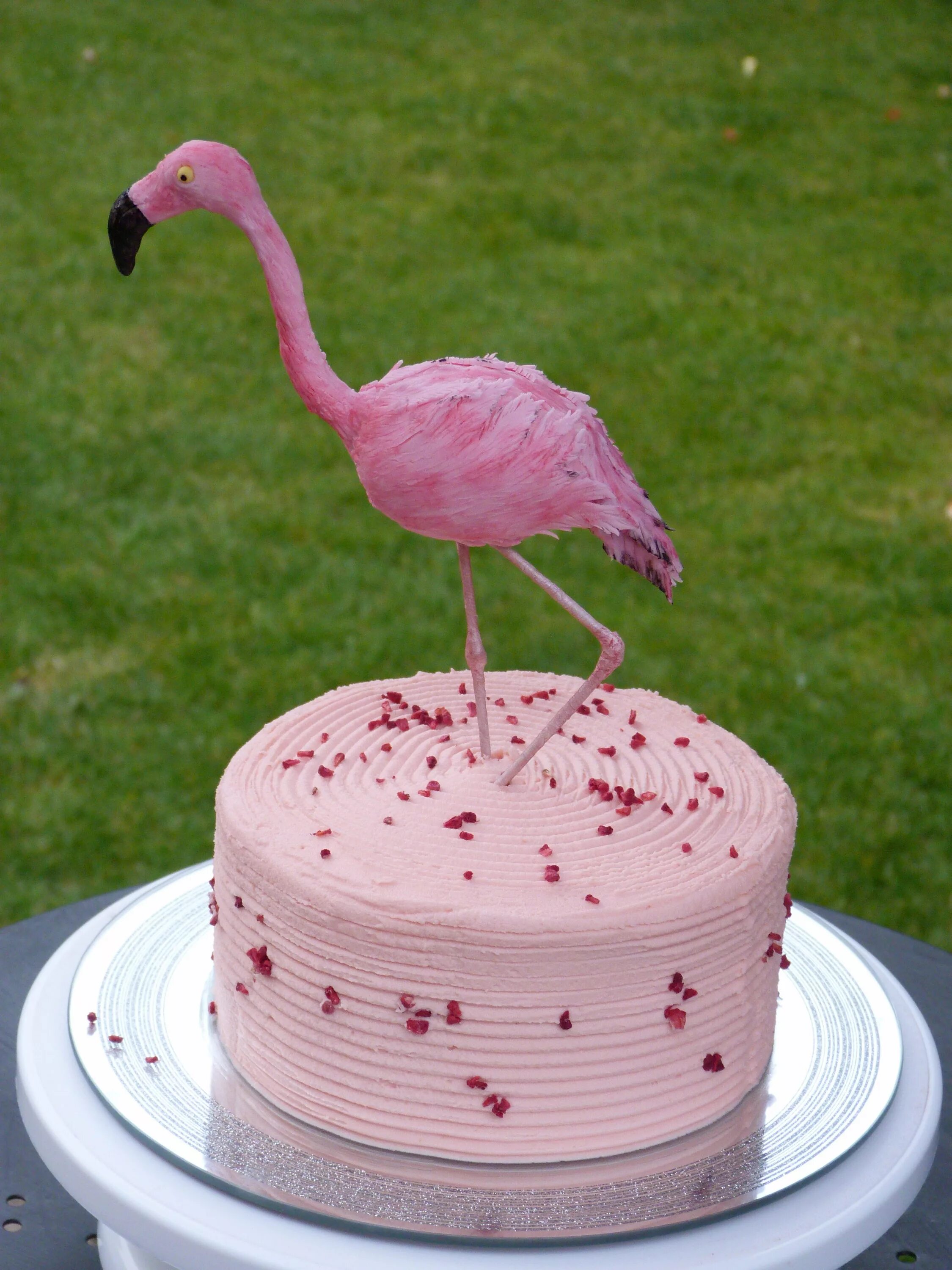 Торт фламинго. Торт розовый Фламинго. Бентон торт розовый Фламинго. Розовый торт. Тортик с Фламинго.
