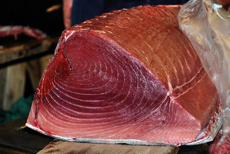 Рыба похожая на мясо. Тунец мясо. Тунец цвет мяса. Красный тунец.