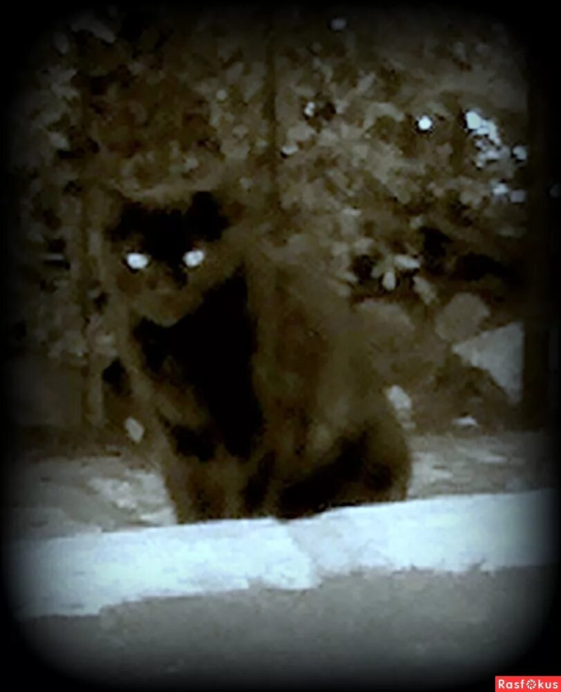 Иуда продал христа за. Сильный мороз. Лённарт из гренграса алексей пехов. Метель в горах. Суровый взор.