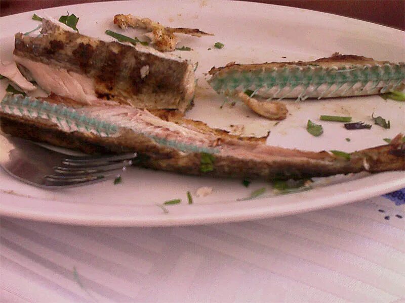 Рыба с зелеными костями 6 букв. Сарган рыба. Сарган Балтийский. Сарган рыба кости зеленые. Рыба Сарган кости.
