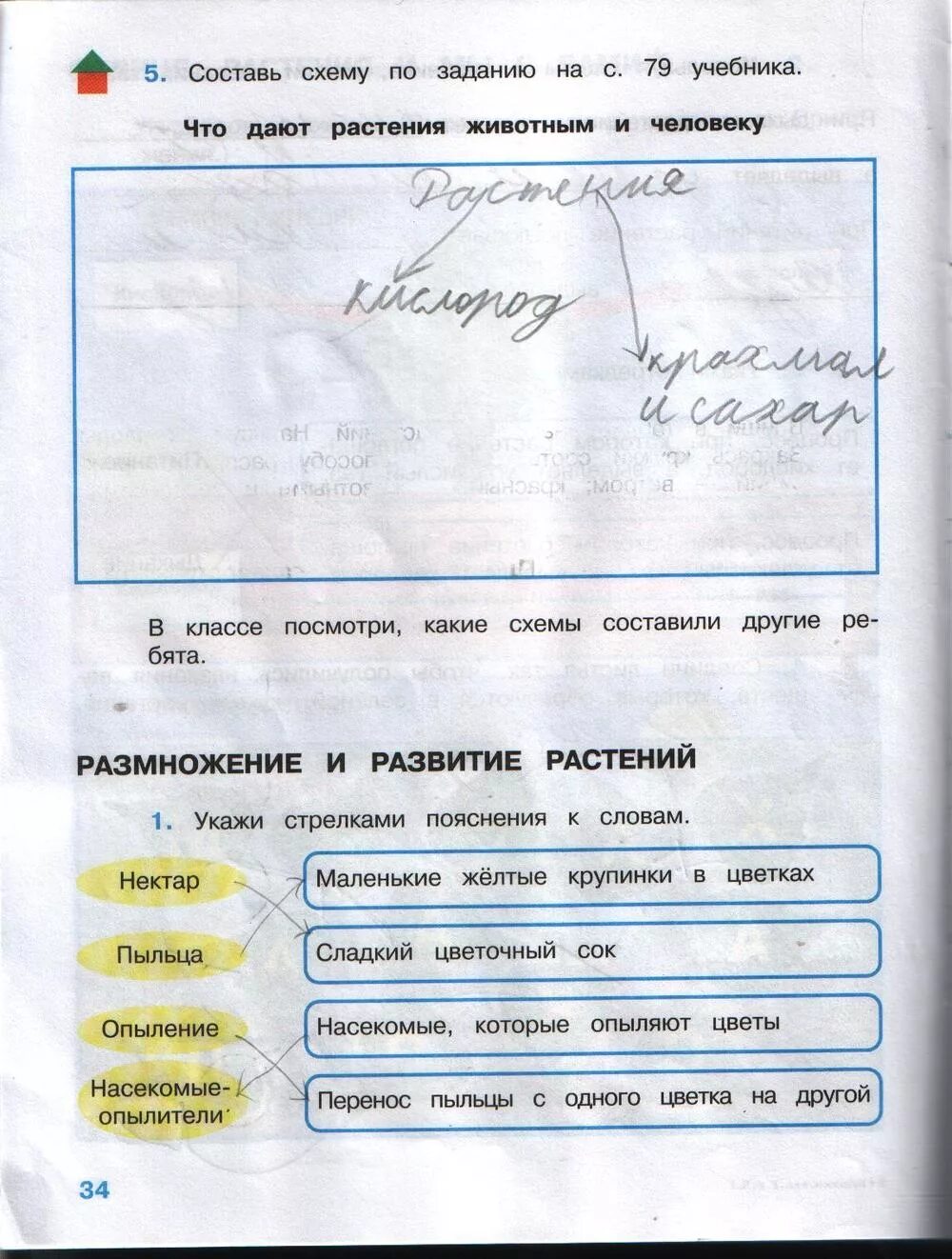 Окр мир тетрадь стр 44. Окружающий мир 3 класс рабочая тетрадь Плешаков стр 34. Окружающий мир 3 класс рабочая тетрадь Плешаков стр 4, номер 3. Окружающий мир 3 класс рабочая тетрадь гдз Плешаков 44. Окружающий мир 3 класс рабочая тетрадь Плешаков.