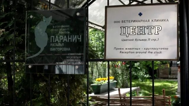 Ветеринарка на цветном бульваре. Ветклиника на цветном бульваре. Ветклиника центр. Ветклиника центр. Ветклиника центр сайт.