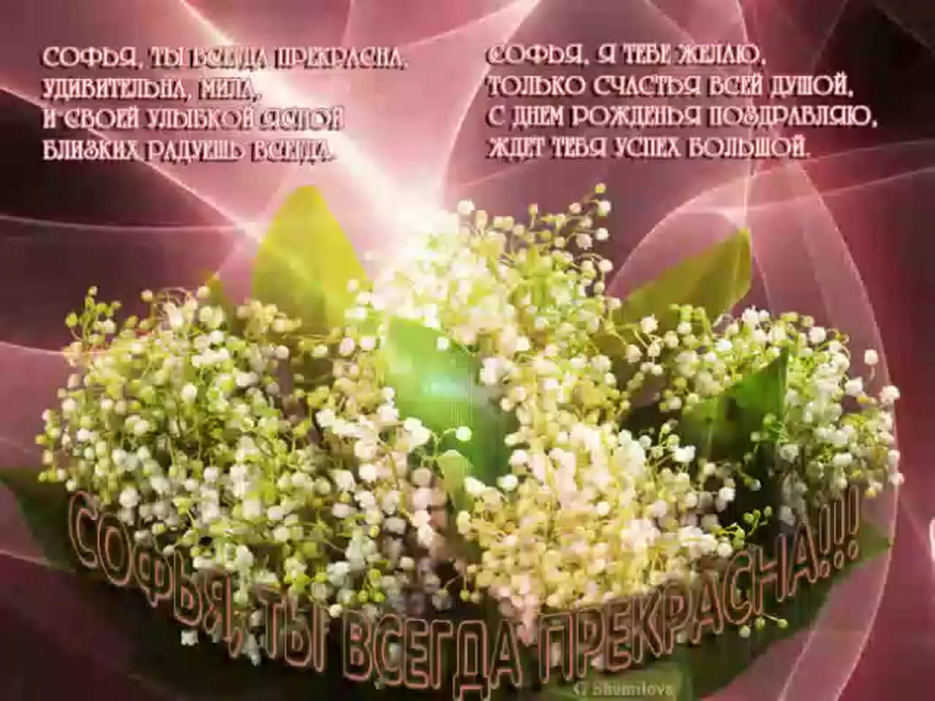 Поздравление с днем рождения девочке соне. Красивые поздравления с днем рождения. с днём рождения софья. поздравления с днём рождения софия. поздравления с днём рождения женщине соне.