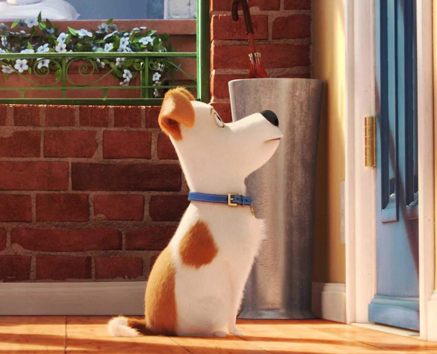 Игра тайная жизнь животных. Тайная жизнь домашних животных 2 мультфильм. Тайная жизнь домашних животных 2016. Тайная жизнь домашних животных 2 мультфильм. Тайная жизнь домашних животных макм.