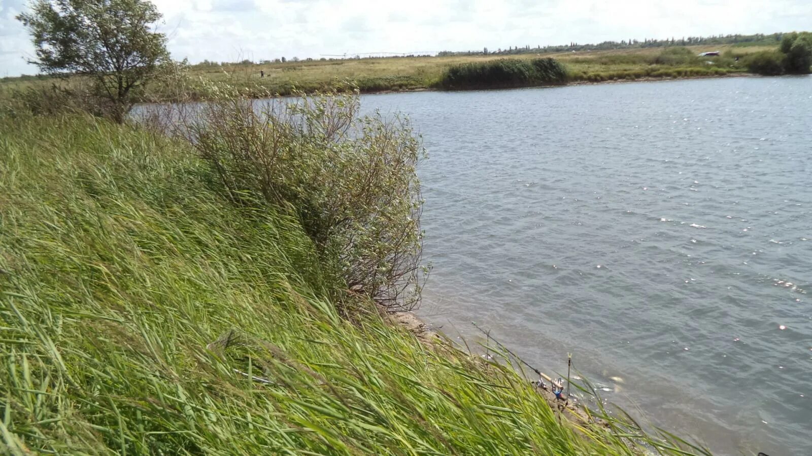 поселок таловая воронежская область. александровка таловский район. александровка таловский район. родина пятницкого таловский район воронежская область. таловский район воронежской области.