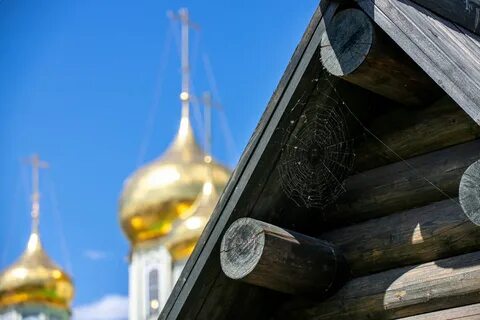 Спаси 2022
