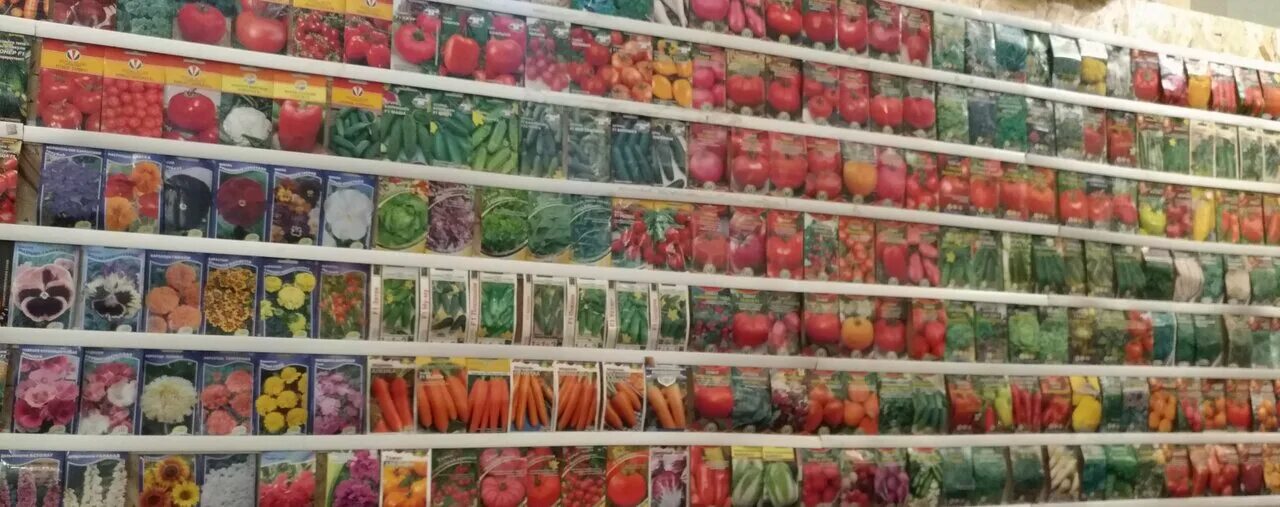 Магазин семян в москве. Магазин семян. Магазин семян казань. Seed store vizitca. Магазин семян в москве на карте.