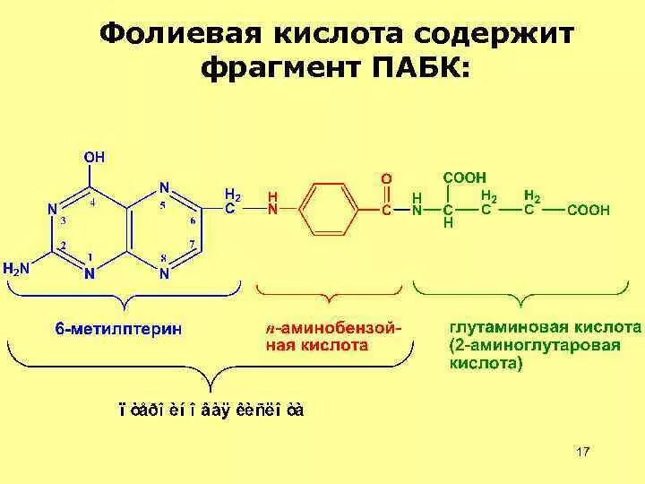 Химическая формула фолиевой кислоты. Синтез фолиевой кислоты из ПАБК. Синтез фолиевой кислоты схема. Фолиевая кислота формула.