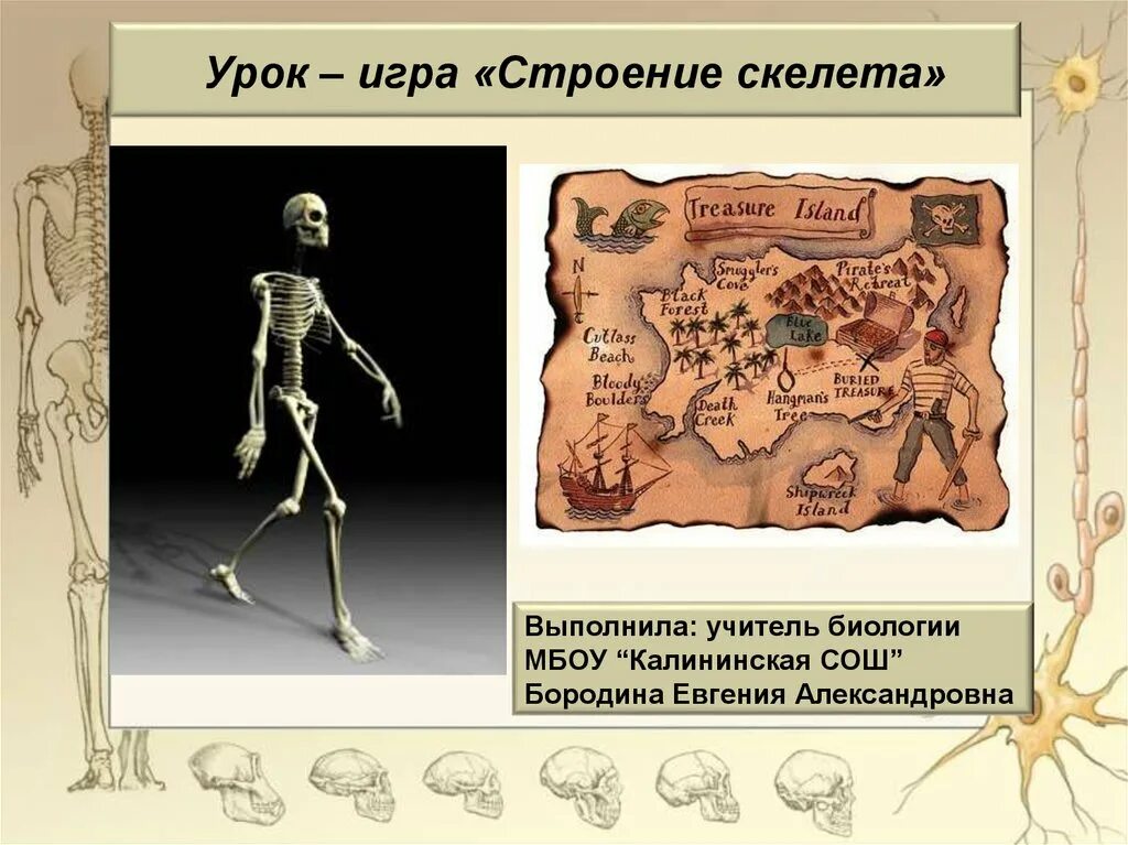 Скелет урока. Скелет человека в 3000 году. скелет для урока биологии. урок анатомии скелет.