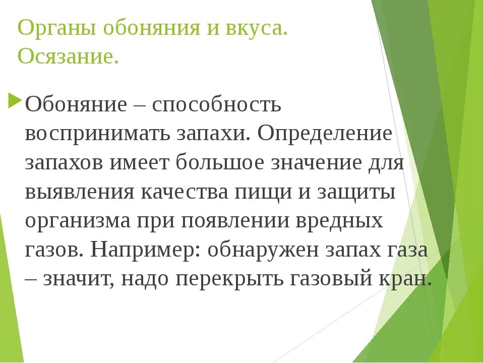 Вкусовое обоняние. Органы осязания обоняния вкуса. Вкус обоняние осязание. Организм осязания обоняния вкуса. Органы равновесия осязания обоняния вкуса.