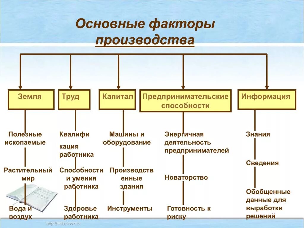 Одному или нескольким видам деятельности. Перечислите факторы производства. Перечислите основные факторы производства. Основные факторы производства схема. Основная характеристика всех факторов производства.