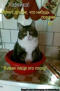 Поем что нибудь