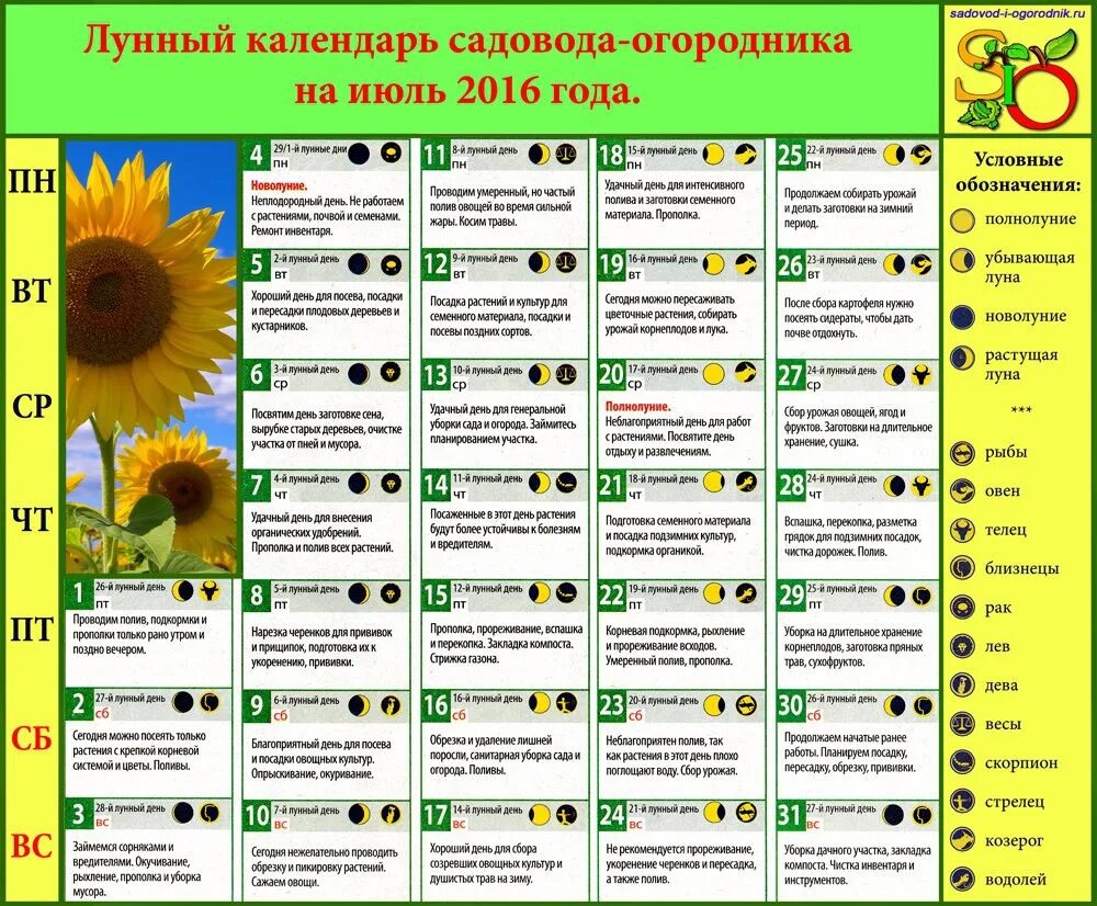 Удачные дни июля. Лунный календарь садовода и огородника на июль. посевной календарь на июль. лунный календарь прививок. таблица для садовода огородника.