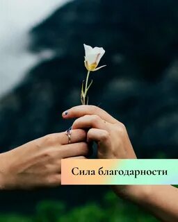 Сила благодарности и любви
