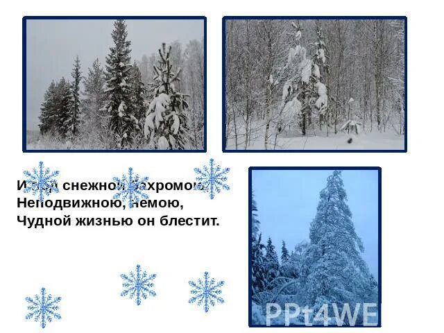 Литературное чтение 2 класс тютчев чародейкою зимою. Литературное чтение 2 класс тютчев чародейкою зимою