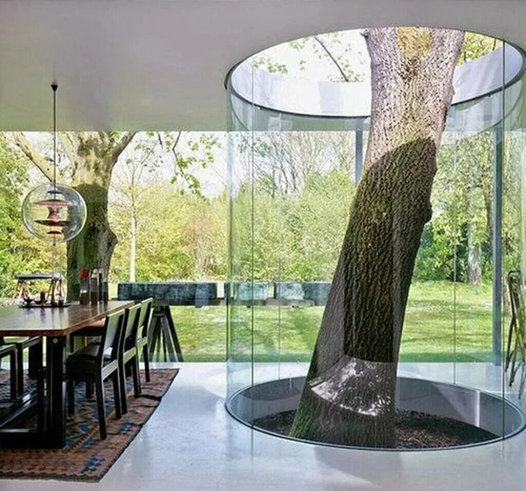 дома сохранили деревья. деревянный дом на дереве. терраса вокруг дерева. дома сохранили деревья. дом с деревом посередине.