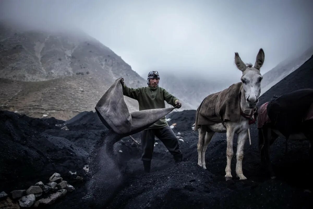 Седой афган. Афганистан люди фото. мармур фотограф фото афганистан.