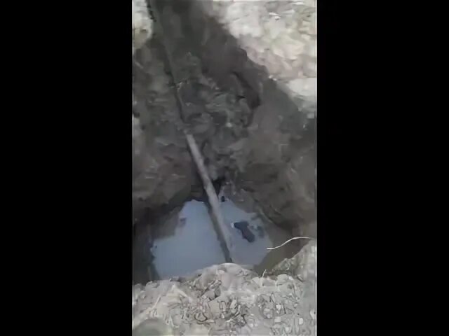 Фильм ужасов трубопровод 2020. Трансаляскинский магистральный нефтепровод. Нефтепровод фильм. Трубопровод фильм 2020. Трансаляскинский магистральный нефтепровод.