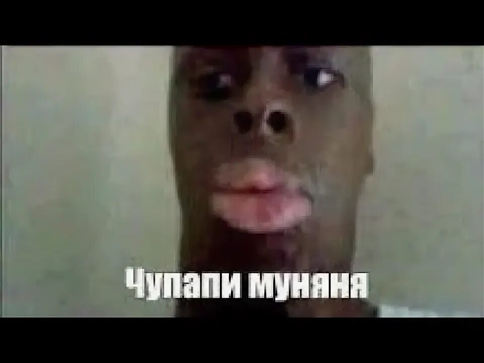 Чупапи муняню чупапи муняне чупапи муняню. Чупапи муняню чупапи муняне чупапи муняню