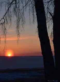 Есенин солнце золотое