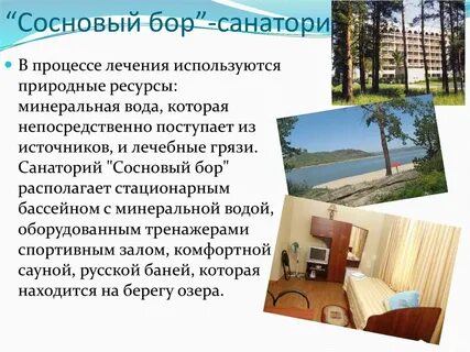 Сосновый бор погода сегодня по часам