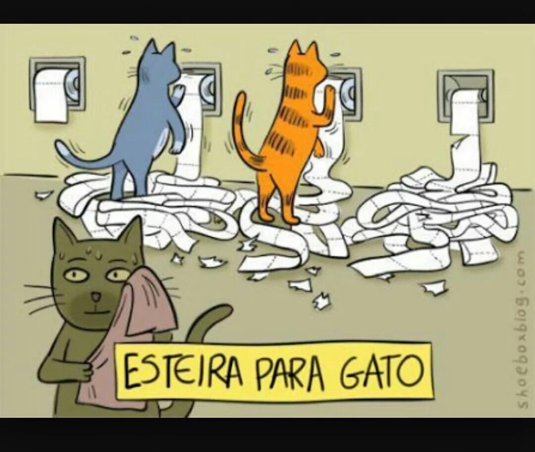 День уважения кошки картинки прикольные. Кошка карикатура. Кошки юмор. Коты и туалетная бумага. Карикатуры про котов смешные.