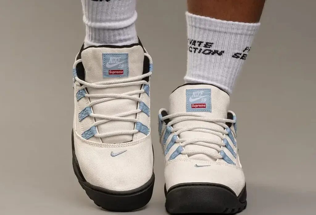 Nike sb darwin. Найк аир дарвин лоу. Sb darwin low. Supreme x nike sb air darwin low. Nike air darwin sb.