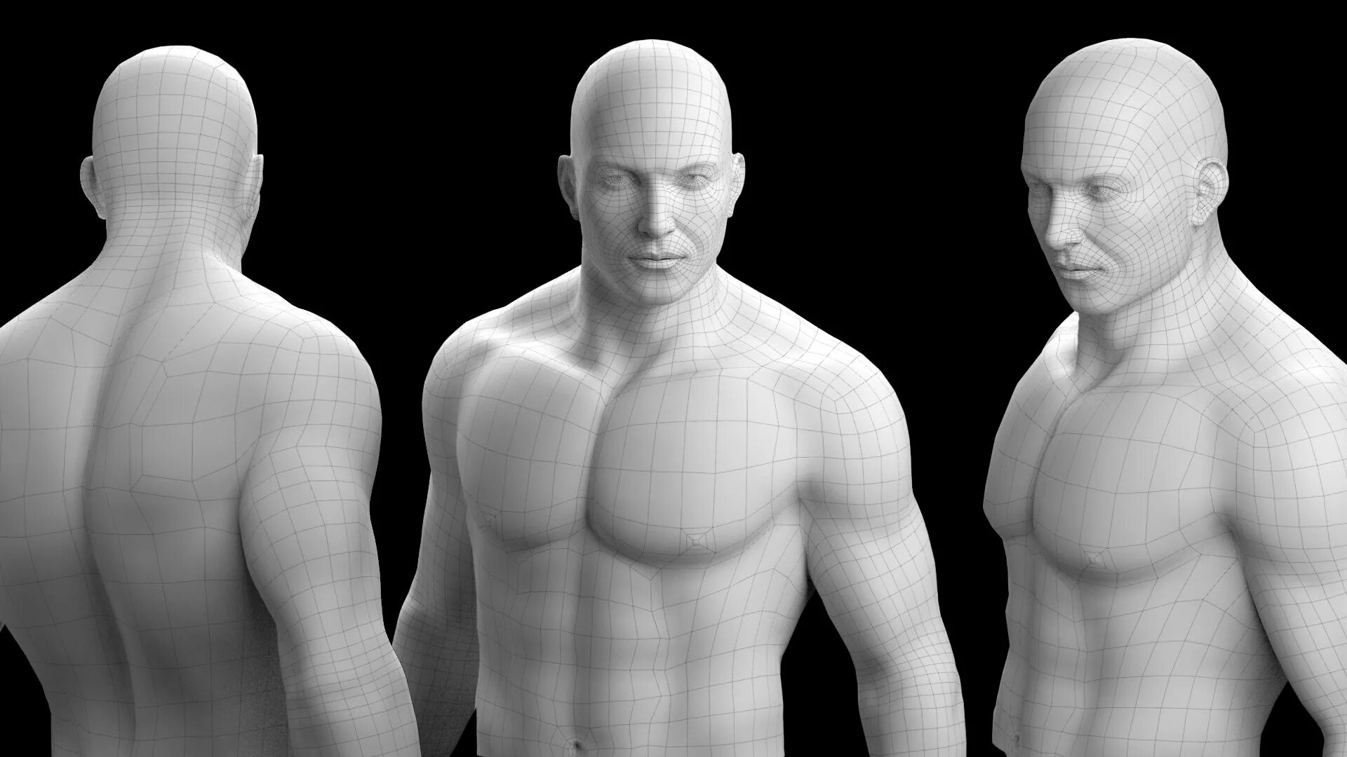 Референс пак. Half body reference. Torso topology. Reference Pack для игр. Half human