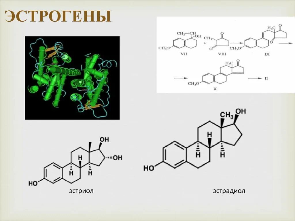 Нарушение эстрогенов. Эстрогенные гормоны формулы. Эстроген формула структурная. Эстроген гормон формула. Стероидные гормоны эстрогены.