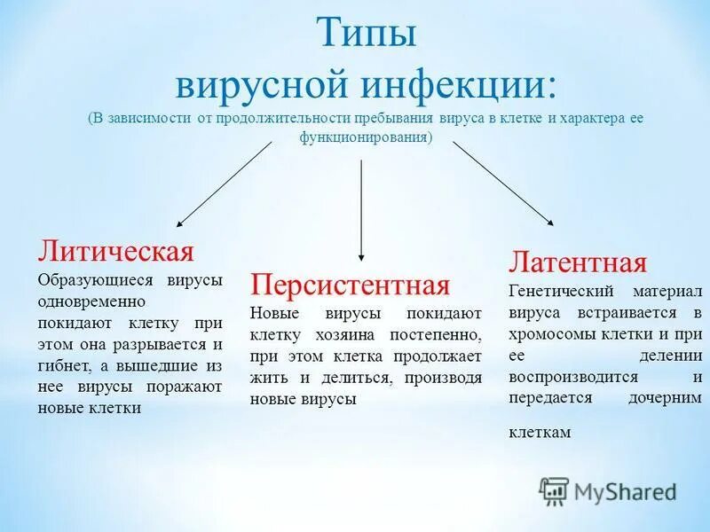 Группы вирусных инфекций