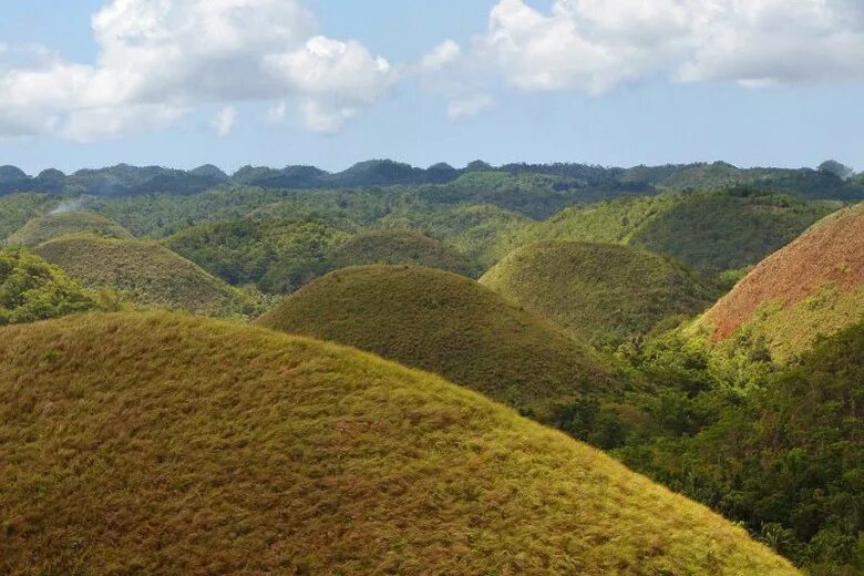 Появились холмы. Филиппины холмы. Шоколадные холмы Филиппины. Бохоль Филиппины. Остров Бохоль на Филиппинах.