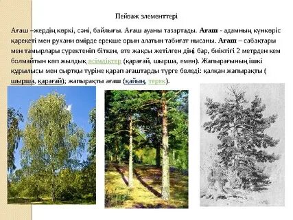 Секс Түркия порно