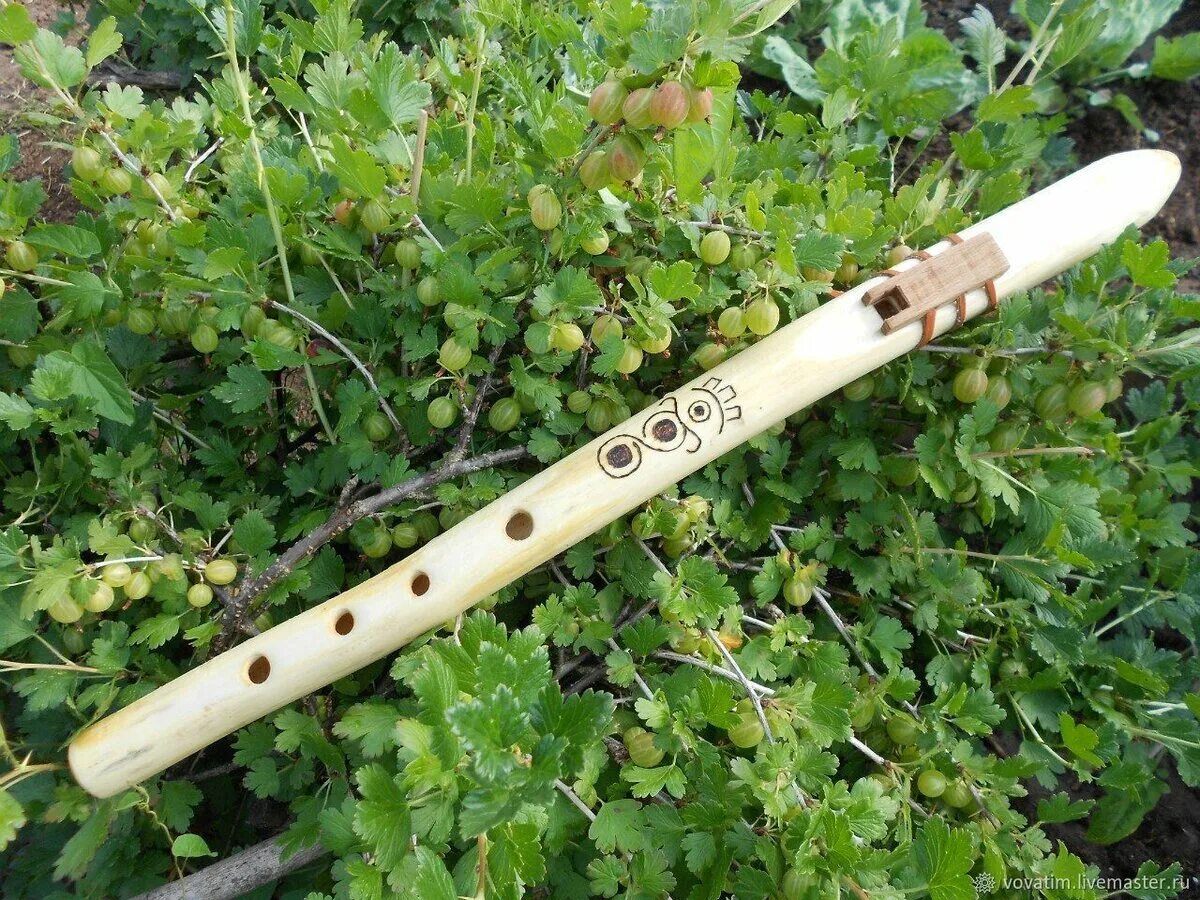 Хотику флейта. Индейская флейта пимак. Бамбуковая флейта бансури. Бансури индийская бамбуковая флейта. Дудка из тростника