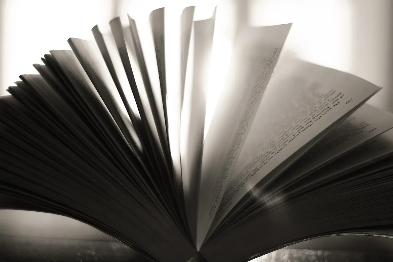 Read paper books