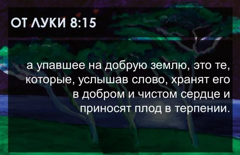 А упавшее на добрую землю это те. Притча чистые сердцем. Приносят плод в терпении. «Приносят плод в терпении» (ЛК. 8:15).