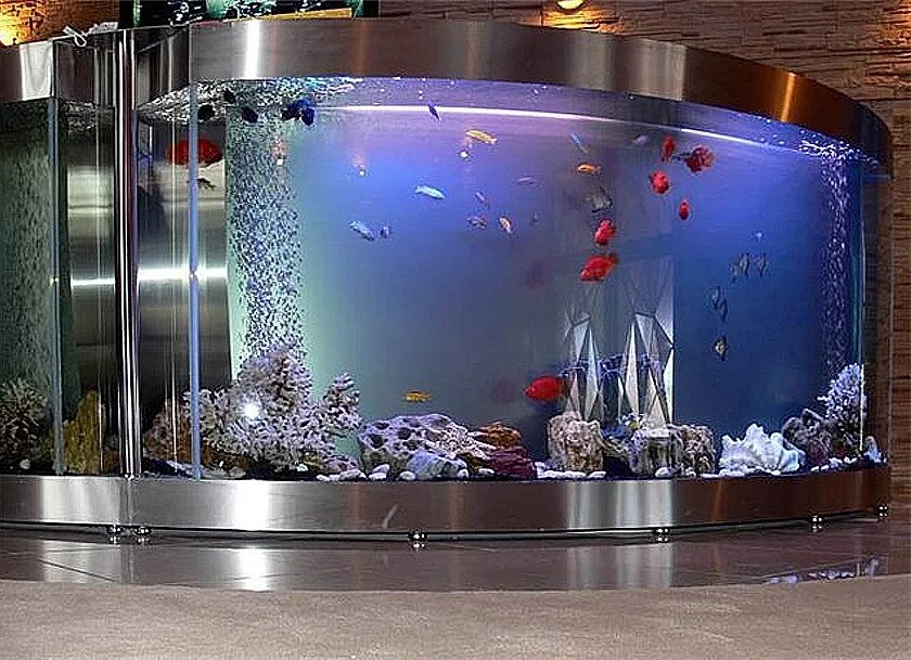 Аквариум aquarium