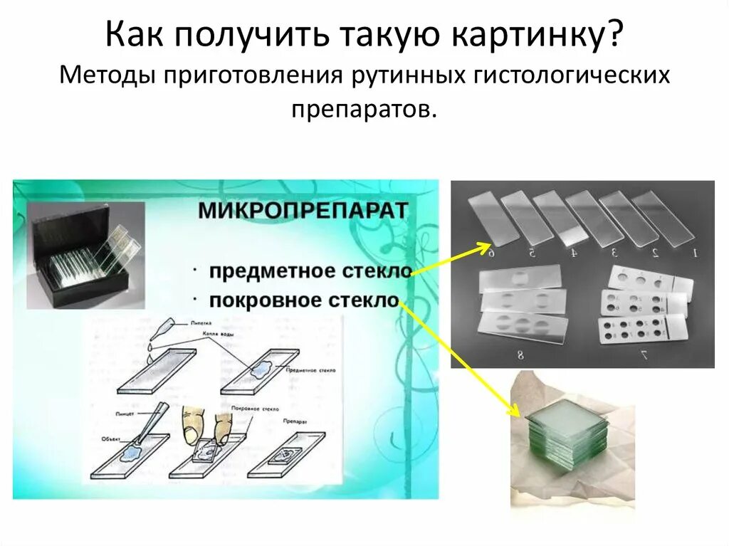 Фиксация гистологического материала. Методы приготовления гистологических препаратов. методика приготовления гистологических препаратов. схема приготовления гистологического препарата. этапы приготовления гистологических препаратов.