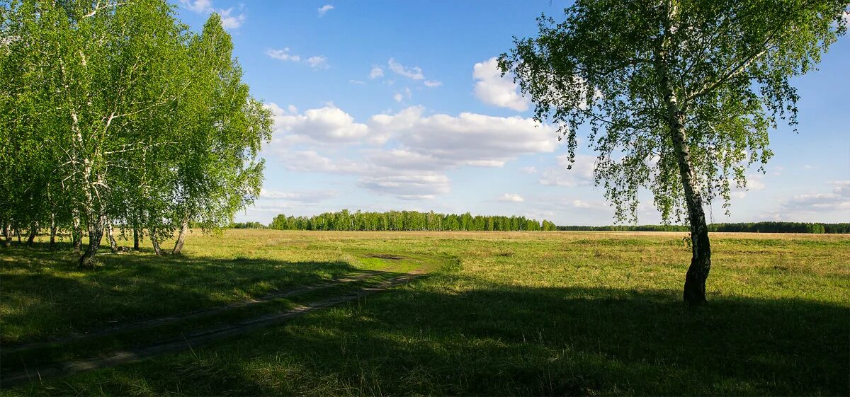 родные просторы татарстан. родные края 7. мой родной край. природа родного края курган. край родной ульяновский край.