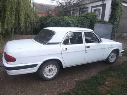 Цвет 202