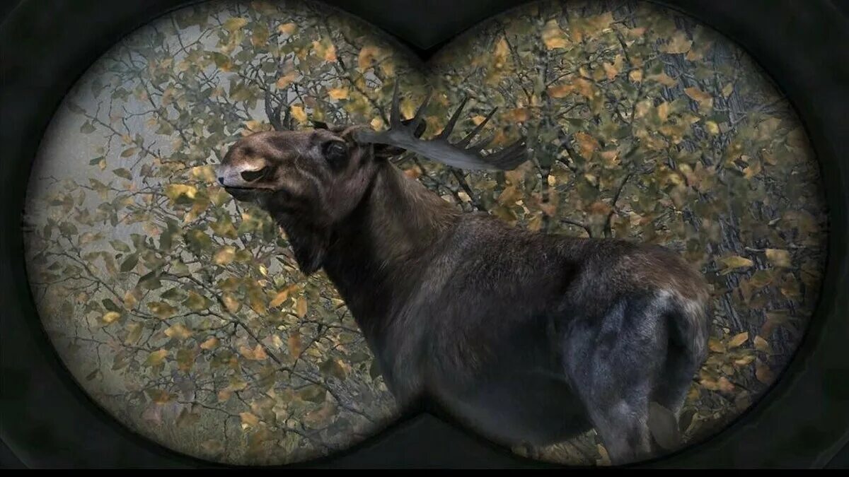 Cabela&#039;s big game hunts 2014. Охота cabela&#039;s big game hunter. cabelas охотничий симулятор. cabela pro hunt 2003. hunter: охотник - по следу хищника, the.
