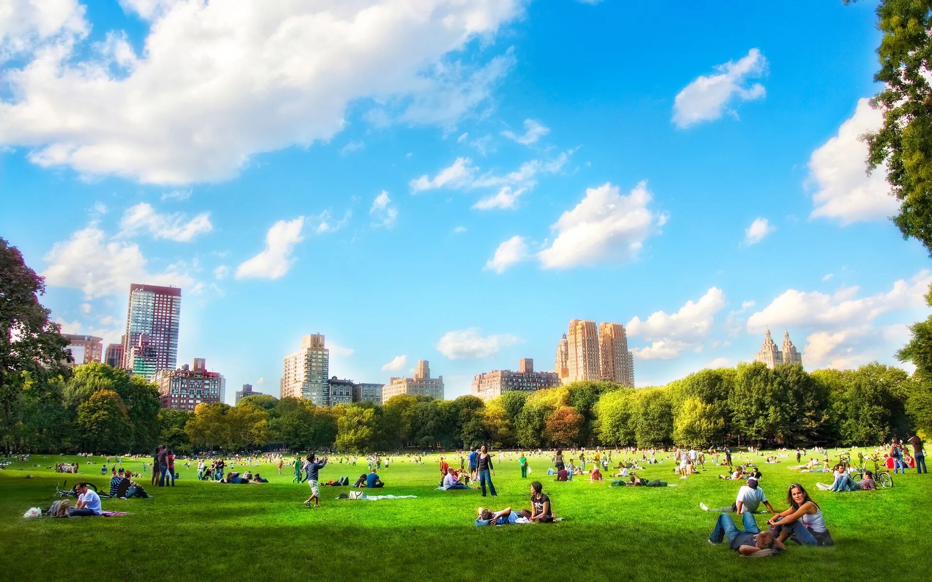 Городская природа и человек. Центральный парк Нью-Йорк пикник. Нью Йорк Центральный парк большая лужайка. Большая лужайка в Центральном парке в Нью-Йорке. Hyde Park в Нью-Йорке.
