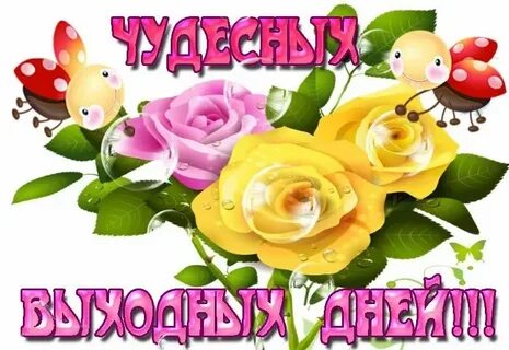 С пятницей видео ватсап
