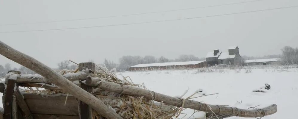 Середина буда сумской области сегодня. Села Сумской области. Село Очкино Сумская область. Рожковичи Сумская область. Сумская область Середино-Будский район село Голубовка.