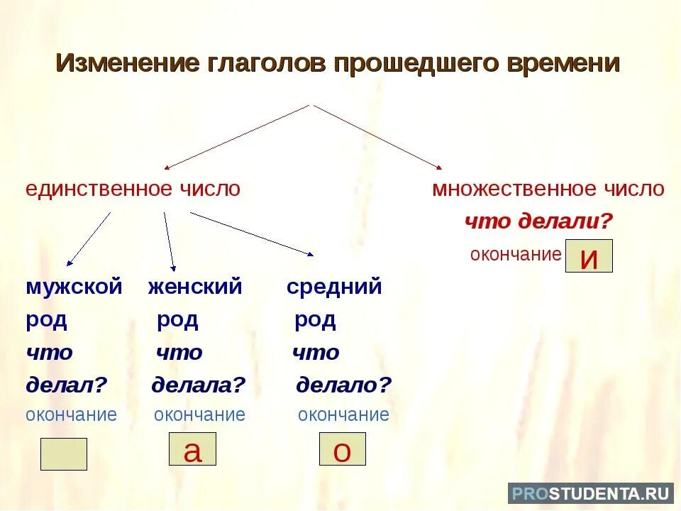 Темнота единственное или множественное. Как определить род глагола. Глагол прошедшего времени множественного числа примеры. Как определить род глагола 4 класс. Как определить род у прошедшего времени.