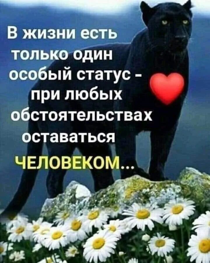 Высказывания о чувствах. Статусы оставайтесь людьми. Семья это главное в жизни. Статус главнее в жизни. При любой ситуации оставайся человеком.