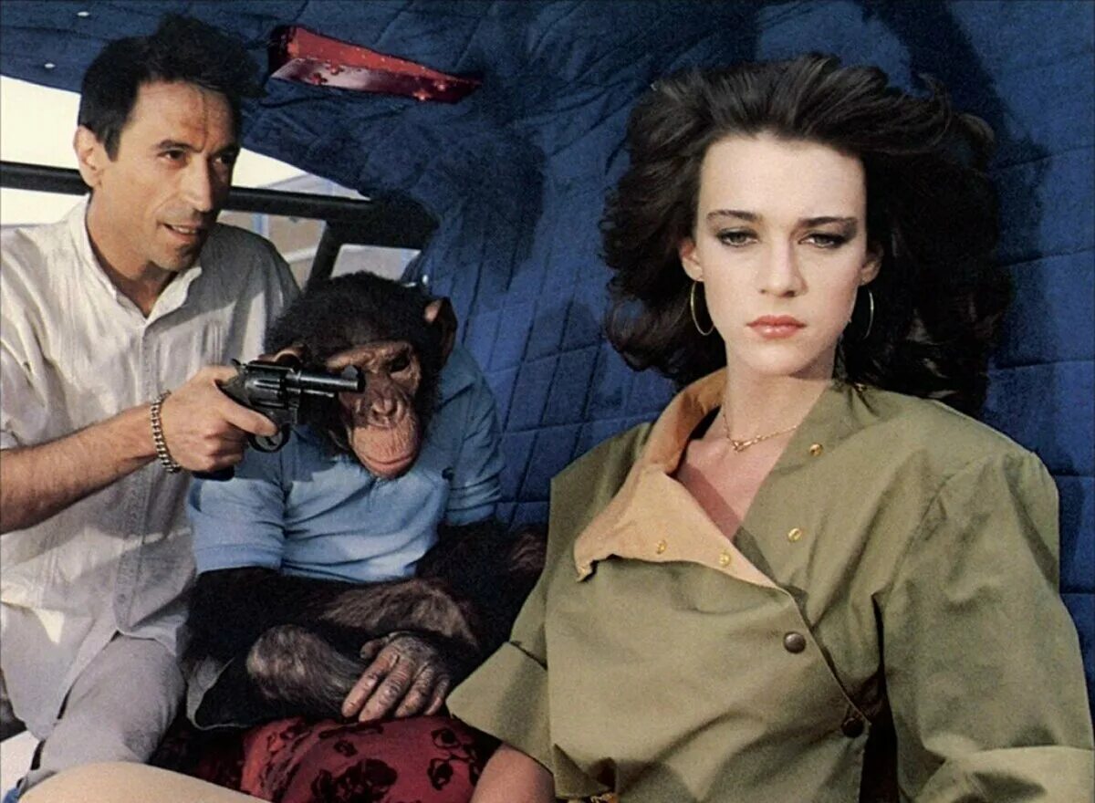 Месть пушистых фильм. Месть пернатого змея фильм 1984. Месть пушистых фильм 2010. Месть фильм 1989. Месть пернатого змея фильм 1984.