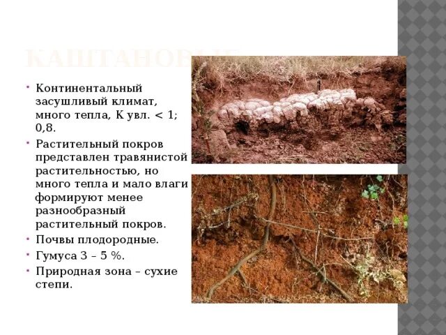 Место обитания животных зависит от почвенного покрова