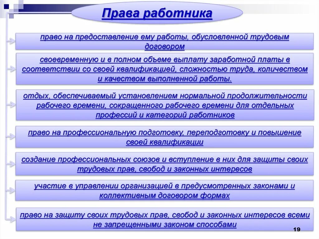 Основные правила работника и работодателя. Предоставление работы обусловленной трудовым договором.